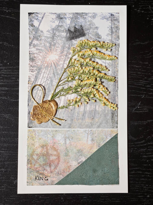 King of Pentacles Tarot Card - Flora Ephemera Deck